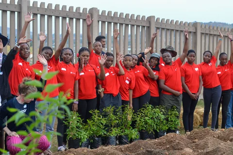 GH tree planting during 2025 JHB Climate Week