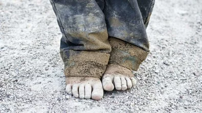 5283bc1e-a257-4a5b-98d9-0c5a878322f9