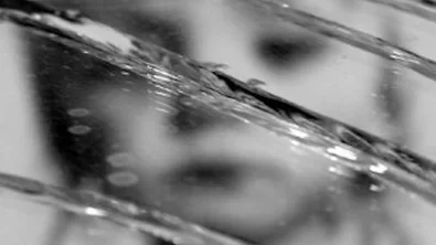 b0833045-57f7-4c61-a769-4dabf11fa18b