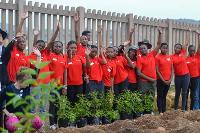 GH tree planting during 2025 JHB Climate Week